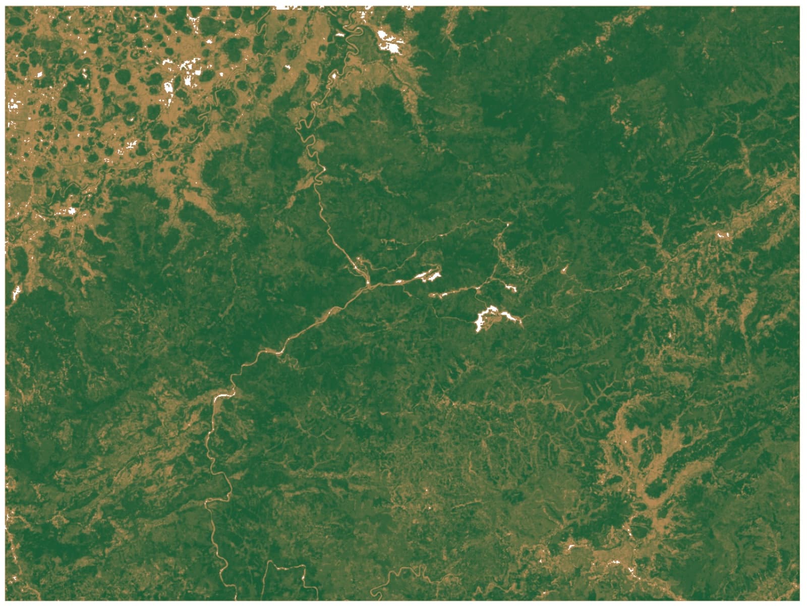Upper Cisokan Pumped Storage: Land Cover & Reforestation Monitoring