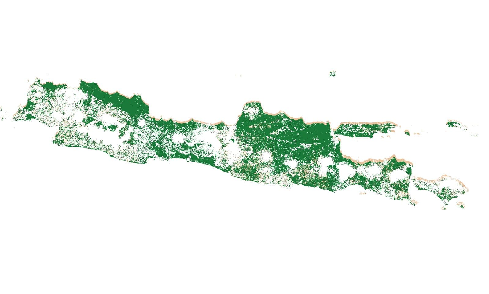 Mapping Paddy Fields, Rice Growth & Irrigation Performance with Sentinel-1 Radar