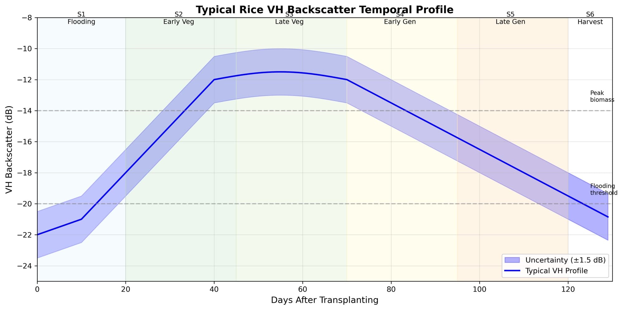 Sentinel-1 VH backscatter profile through the rice growing cycle